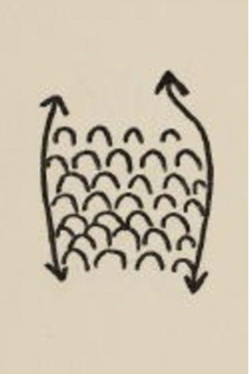 Projet Pour Un Poisson (1970) poster