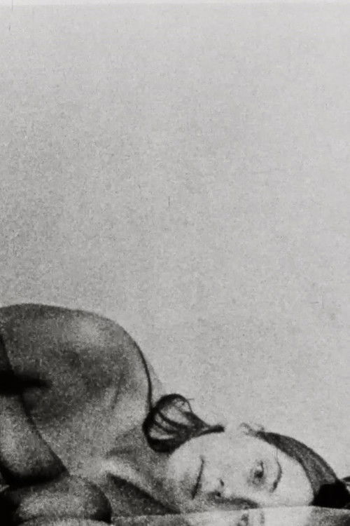 Self Portrait of a Nude Model Turned Cinematographer (1971) poster