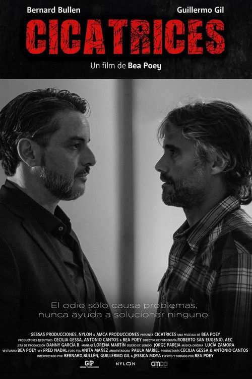 Cicatrices (2025) poster