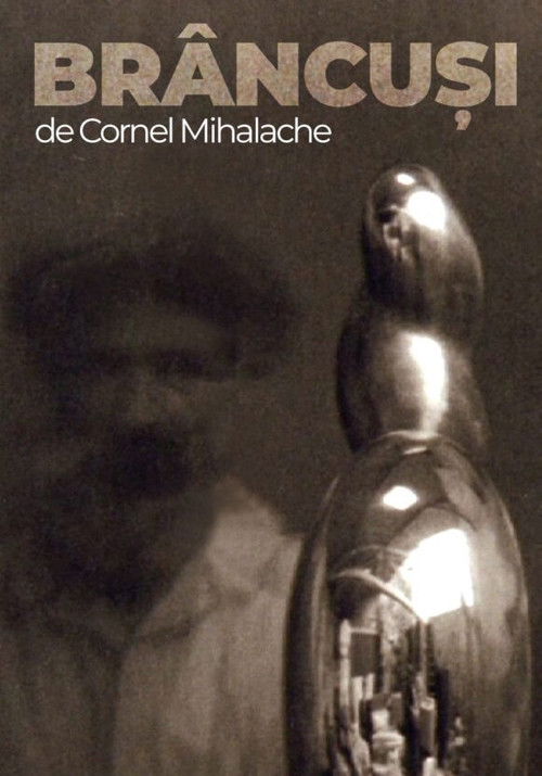Brâncuși (1996) poster