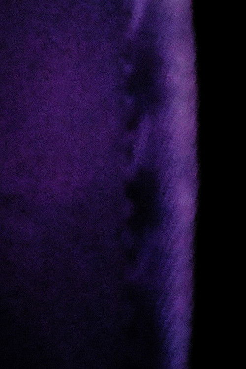 A Cortina (2025) poster