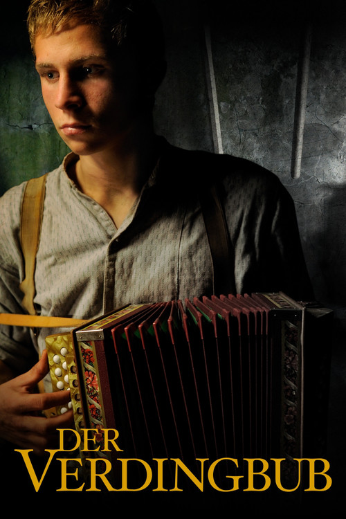 Der Verdingbub (2011) poster
