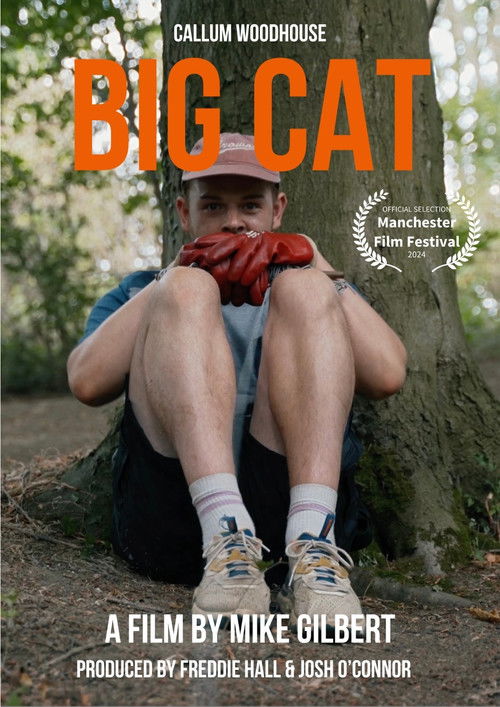 Big Cat (2024) poster