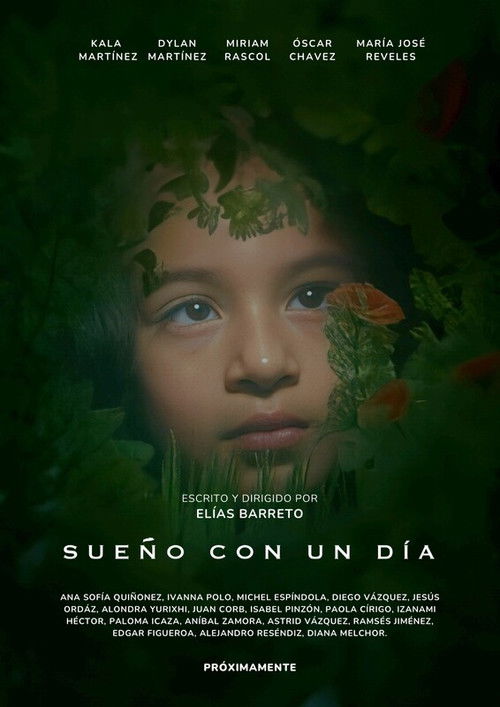 Sueño con un día (2024) poster