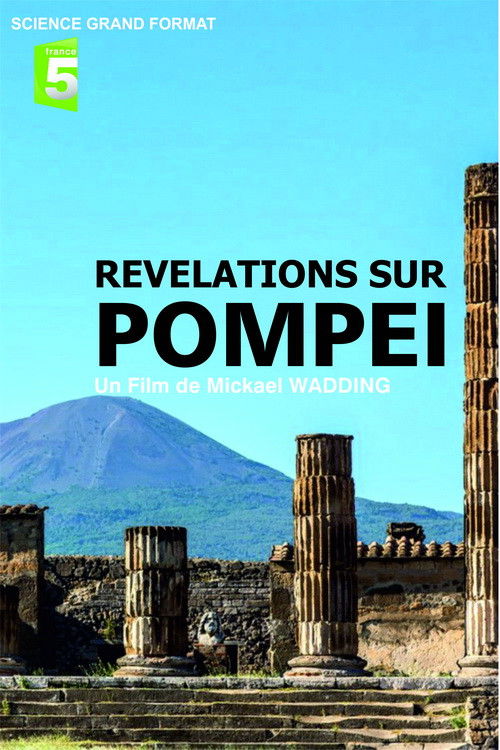 Révélations sur Pompéi (2017) poster