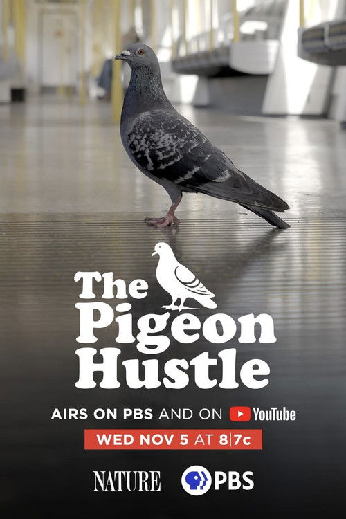 The Pigeon Hustle (2025) poster