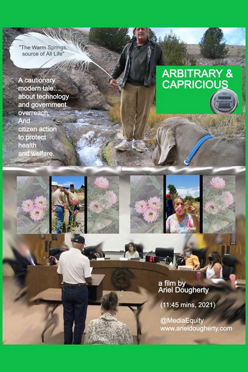 Arbitrary & Capricious (2022) poster