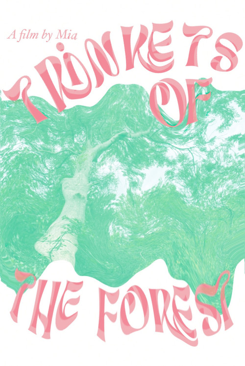 Trinkets of the forest poster