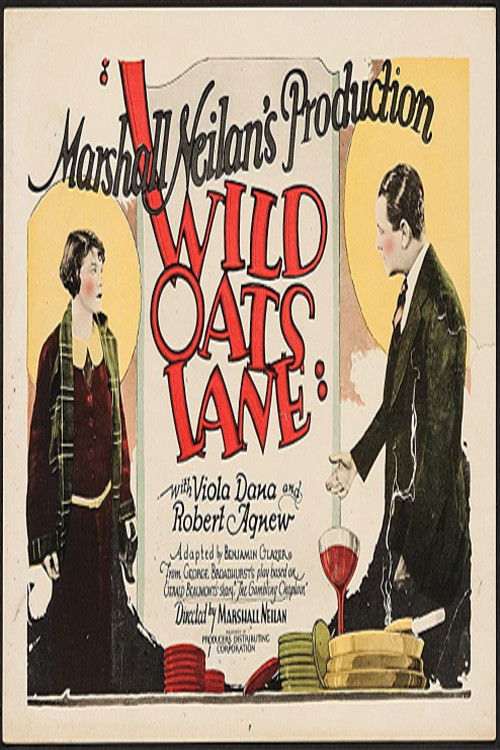 Wild Oats Lane (1926) poster
