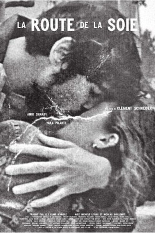 La route de la soie (2016) poster