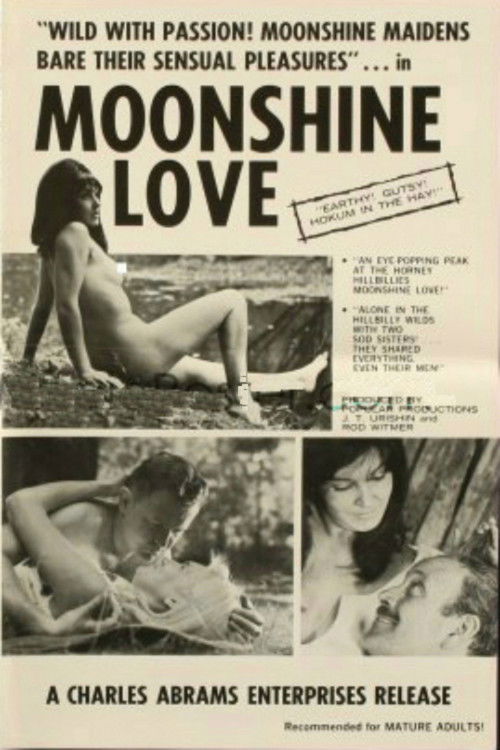 Moonshine Love (1969) poster