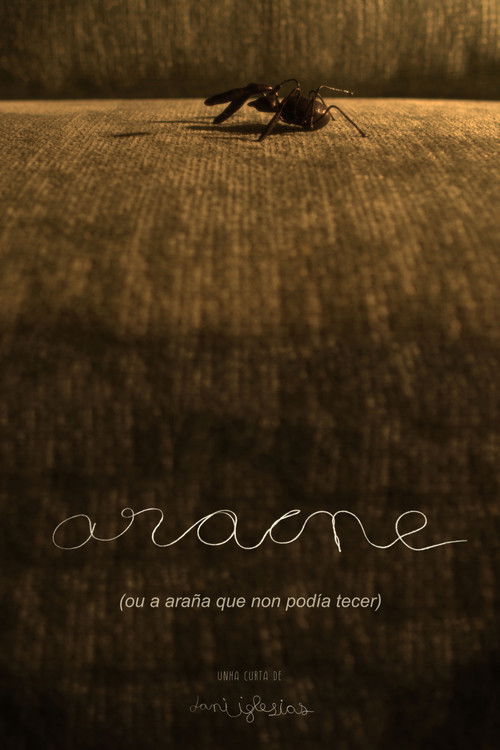 Aracne (ou a araña que non podía tecer) (2024) poster