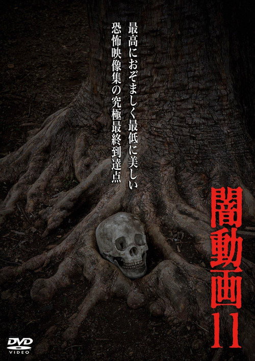 Tokyo Videos of Horror 11 (2014) poster