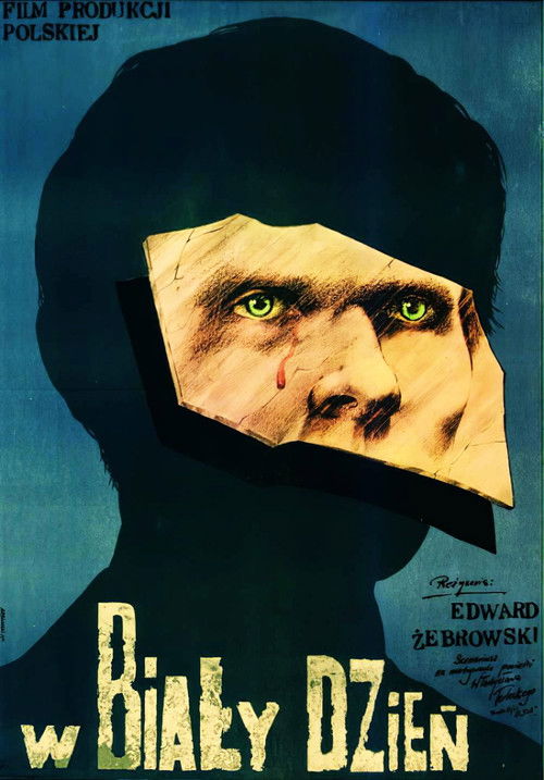 In Broad Daylight (1981) poster