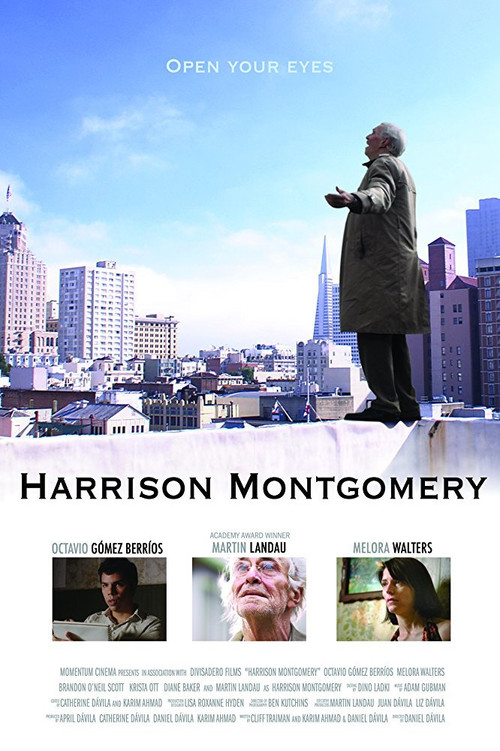 Harrison Montgomery (2008) poster