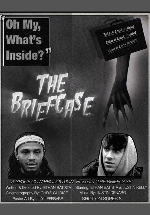 THE BRIEFCASE (2022) poster
