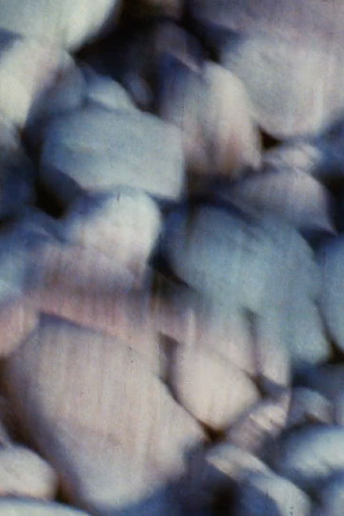 Plein Air Etude (1991) poster