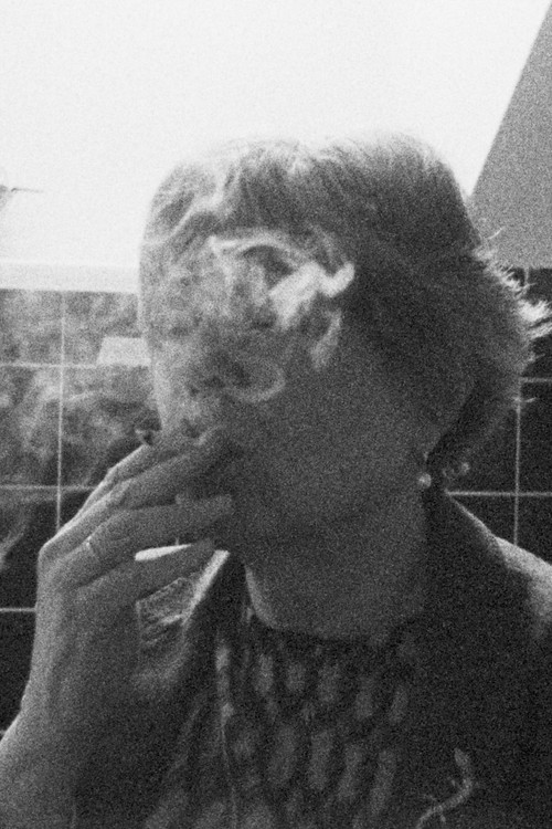 Friedl (2023) poster