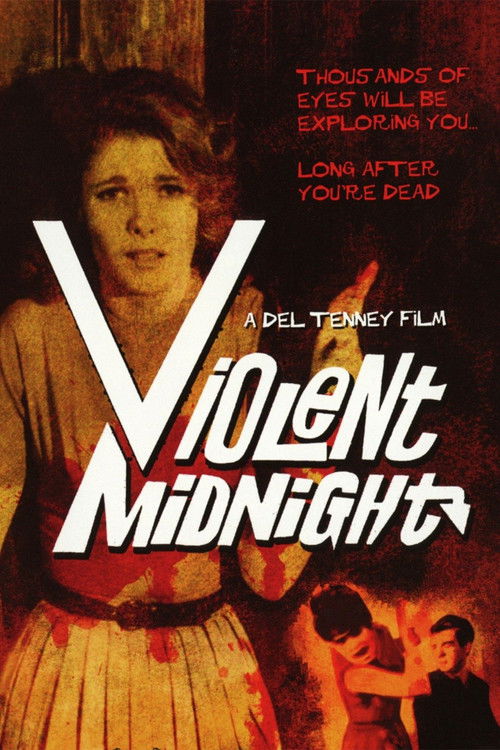 Violent Midnight (1963) poster
