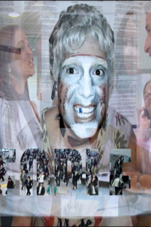 Roamie View: History Enhancement (2010) poster