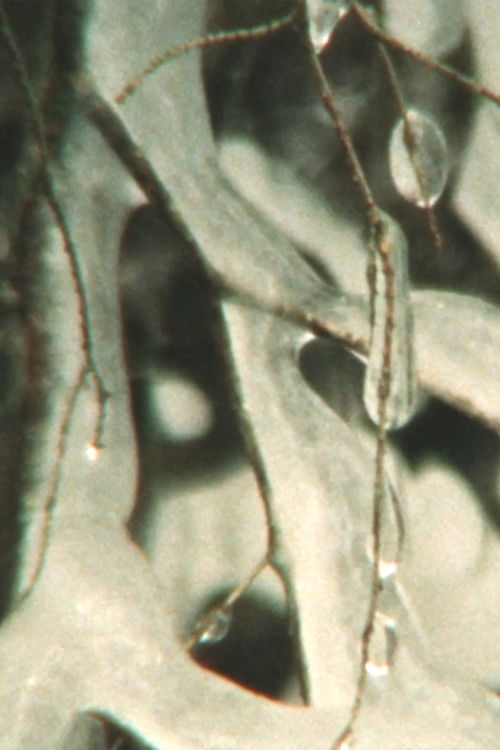 Winter's End (2022) poster