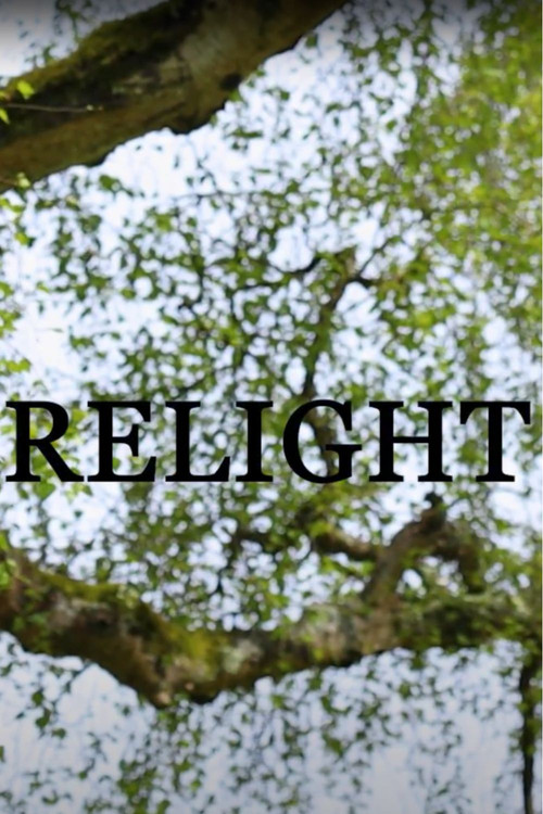 Relight (2024) poster