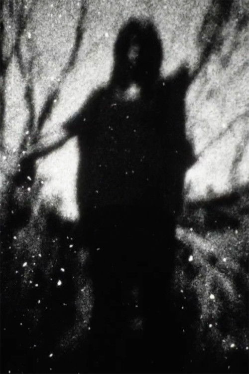 Signals (2019) poster