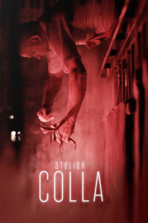 Atelier Colla (2011) poster