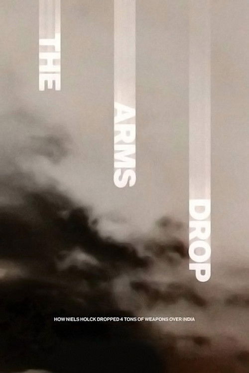 Våbensmuglingen (2014) poster