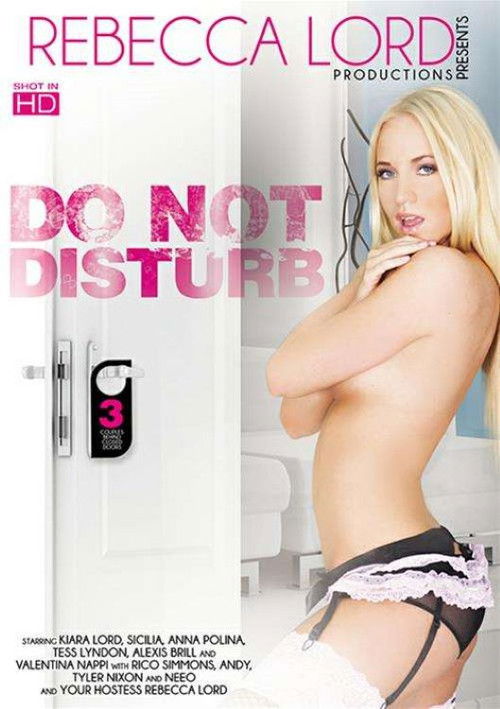 Do Not Disturb 3 (2016) poster