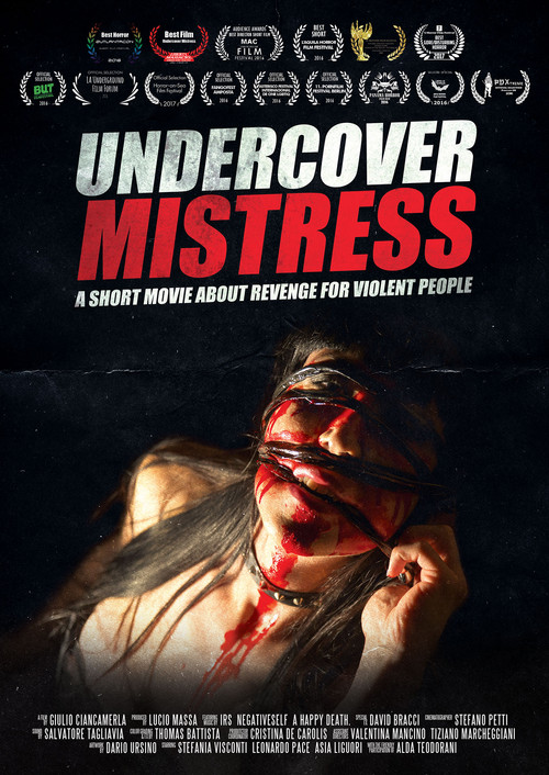 Undercover Mistress (2016) poster