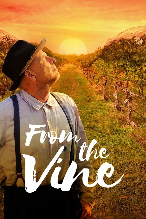 From the Vine (2019) poster