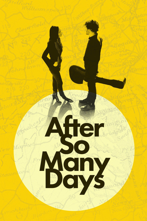 After So Many Days (2020) poster