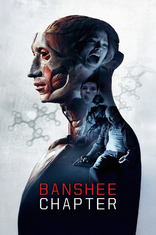 Banshee Chapter (2013) poster