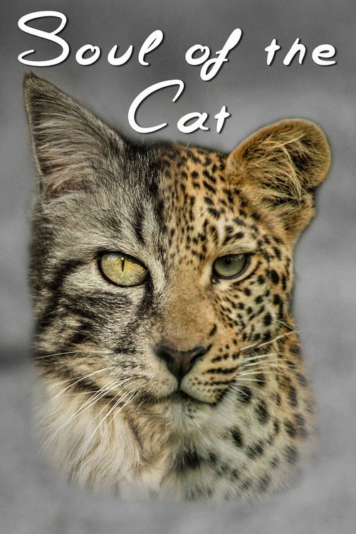 Soul of The Cat (2017) poster