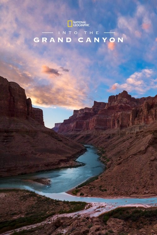 Into the Grand Canyon (2019) poster