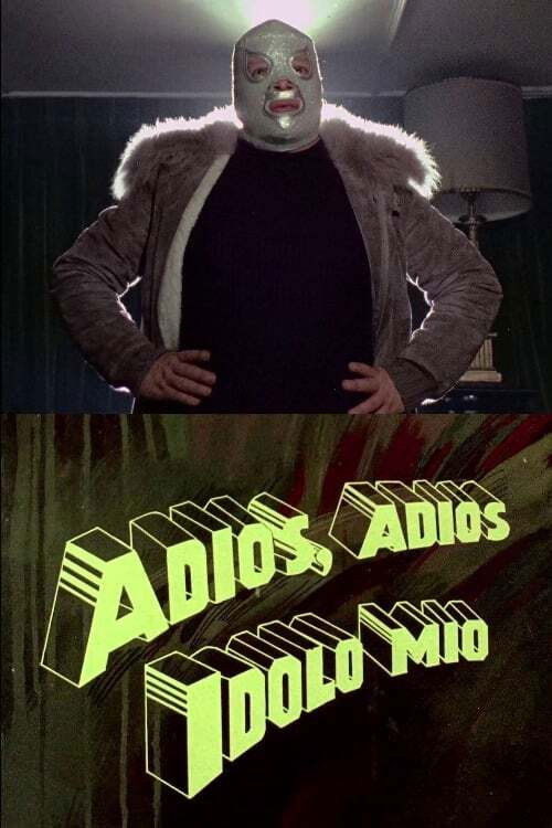 Adiós, adiós ídolo mío (1985) poster