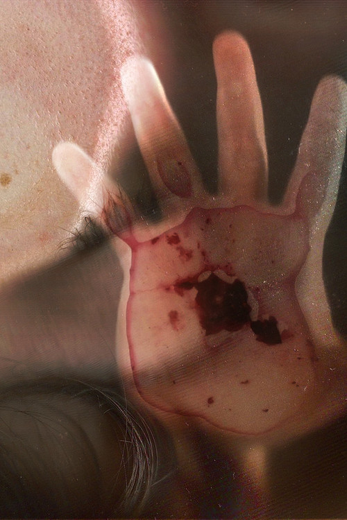 Mirtilos (2021) poster