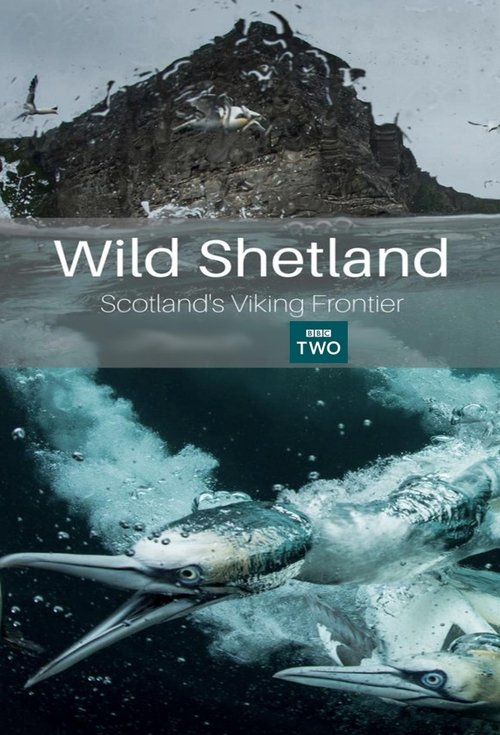 Wild Shetland: Scotland's Viking Frontier (2019) poster