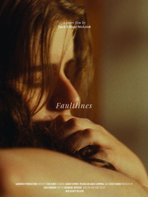 FAULTLINES poster