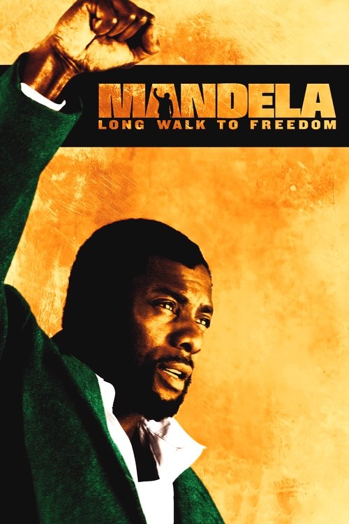 Mandela: Long Walk to Freedom (2013) poster