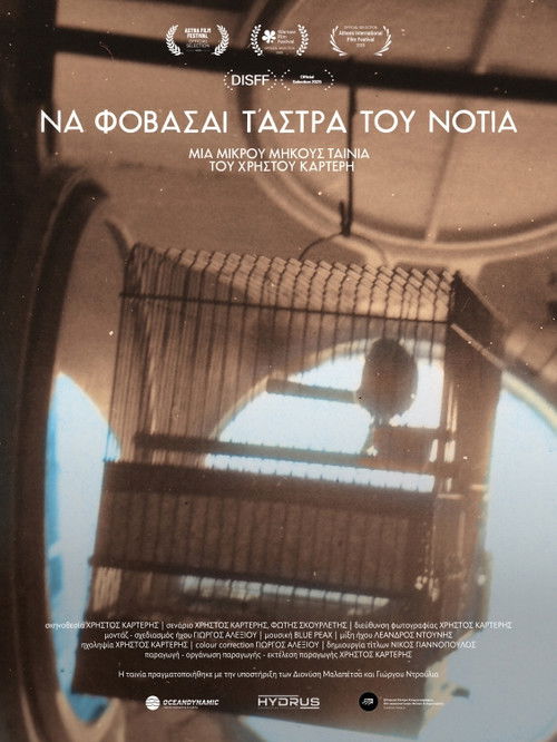 Beware of the Southern Stars (2025) poster