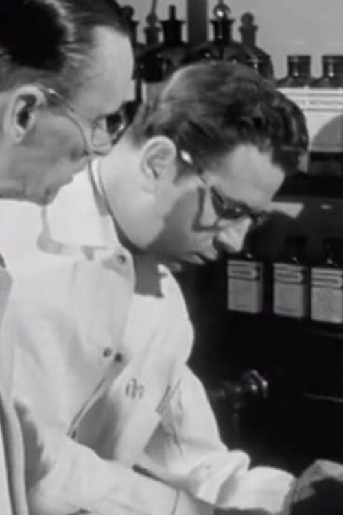 Drug Addict (1948) poster