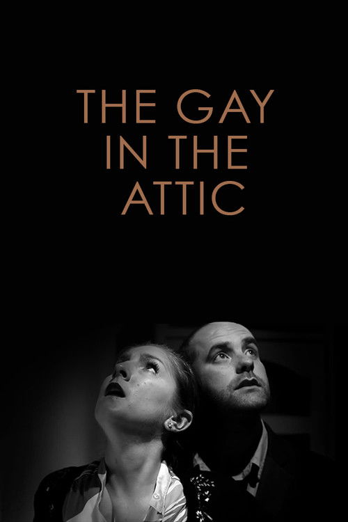 The Gay in the Attic (2011) poster