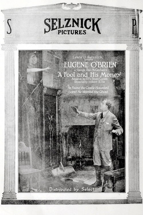 A Fool and His Money (1920) poster