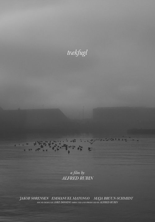 trækfugl (2021) poster