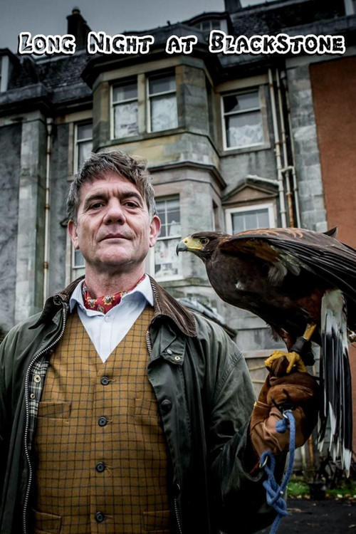 Long Night at Blackstone (2018) poster