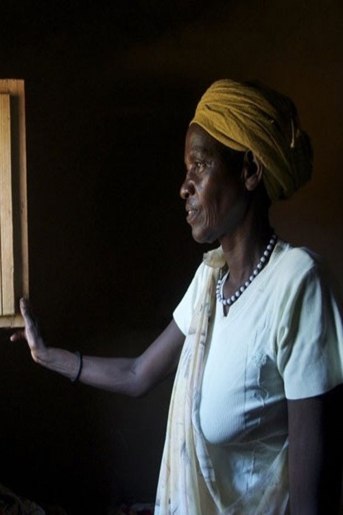 Les dames de la colline (2014) poster