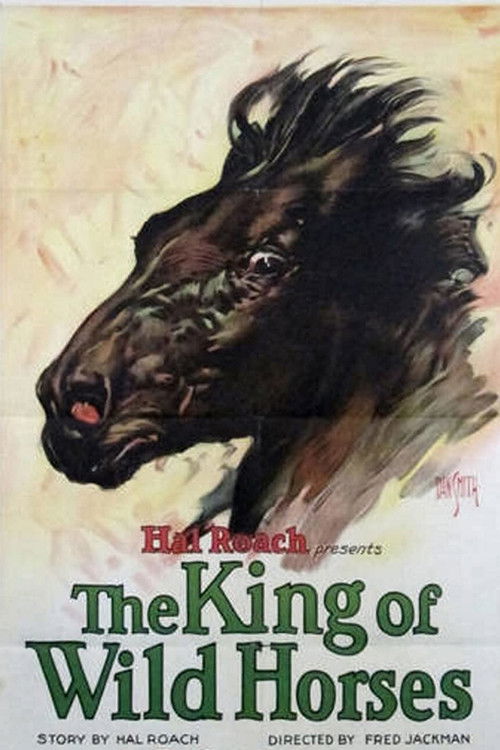 The King of the Wild Horses (1924) poster