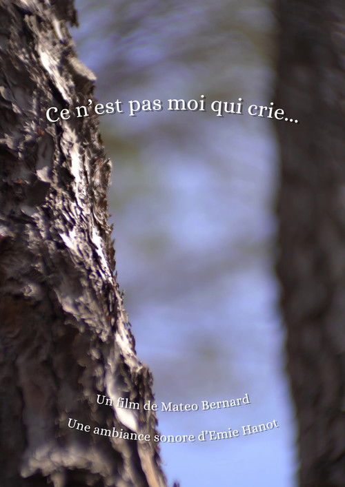 Ce n'est pas moi qui crie... (2026) poster